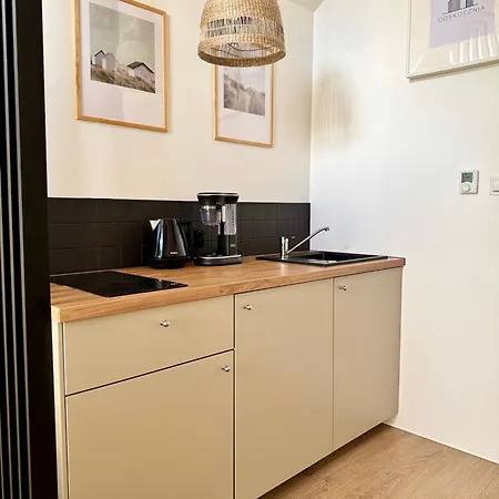 Odskocznia Holiday home